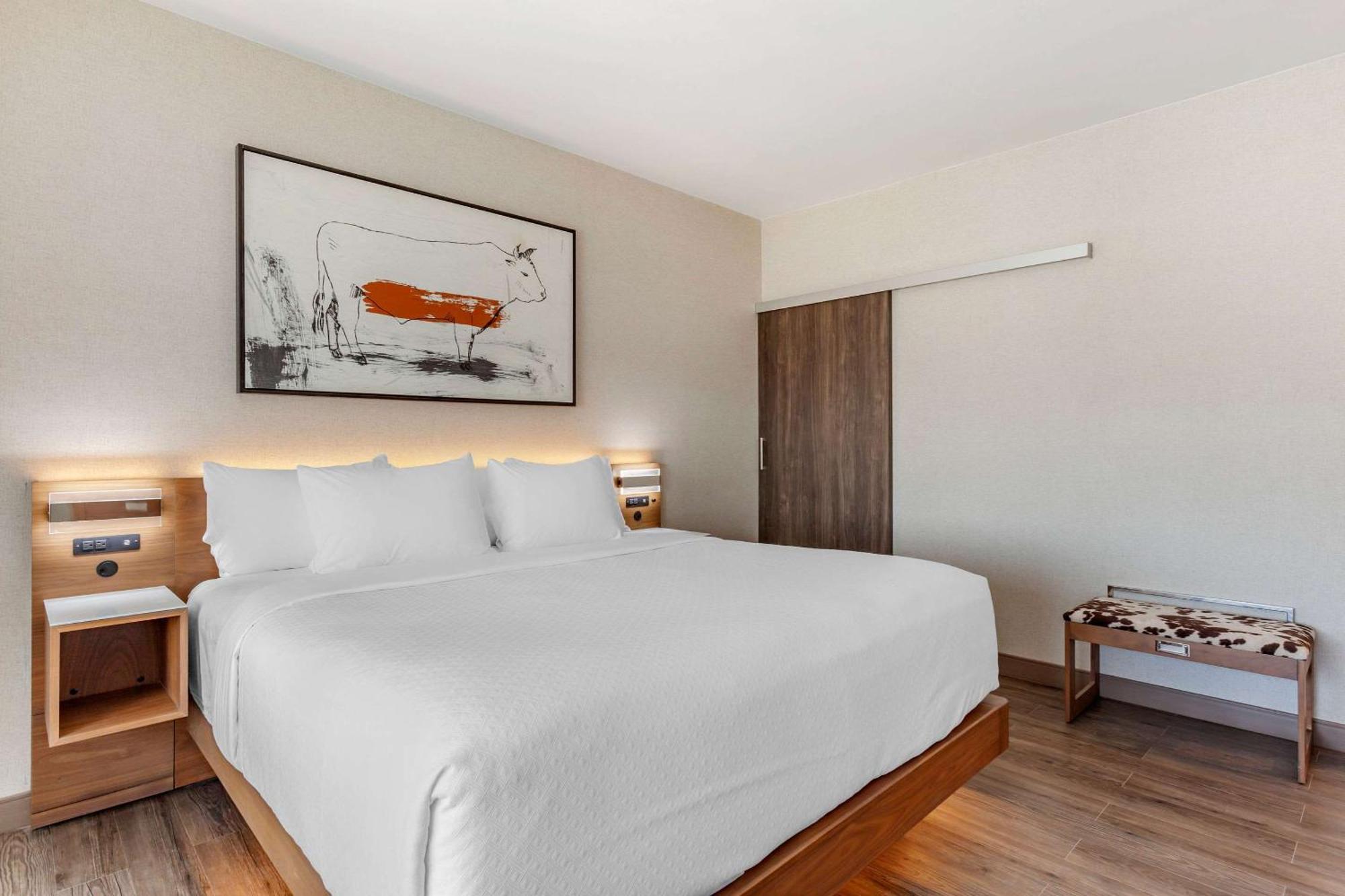 Cambria Hotel Richardson - Dallas מראה חיצוני תמונה