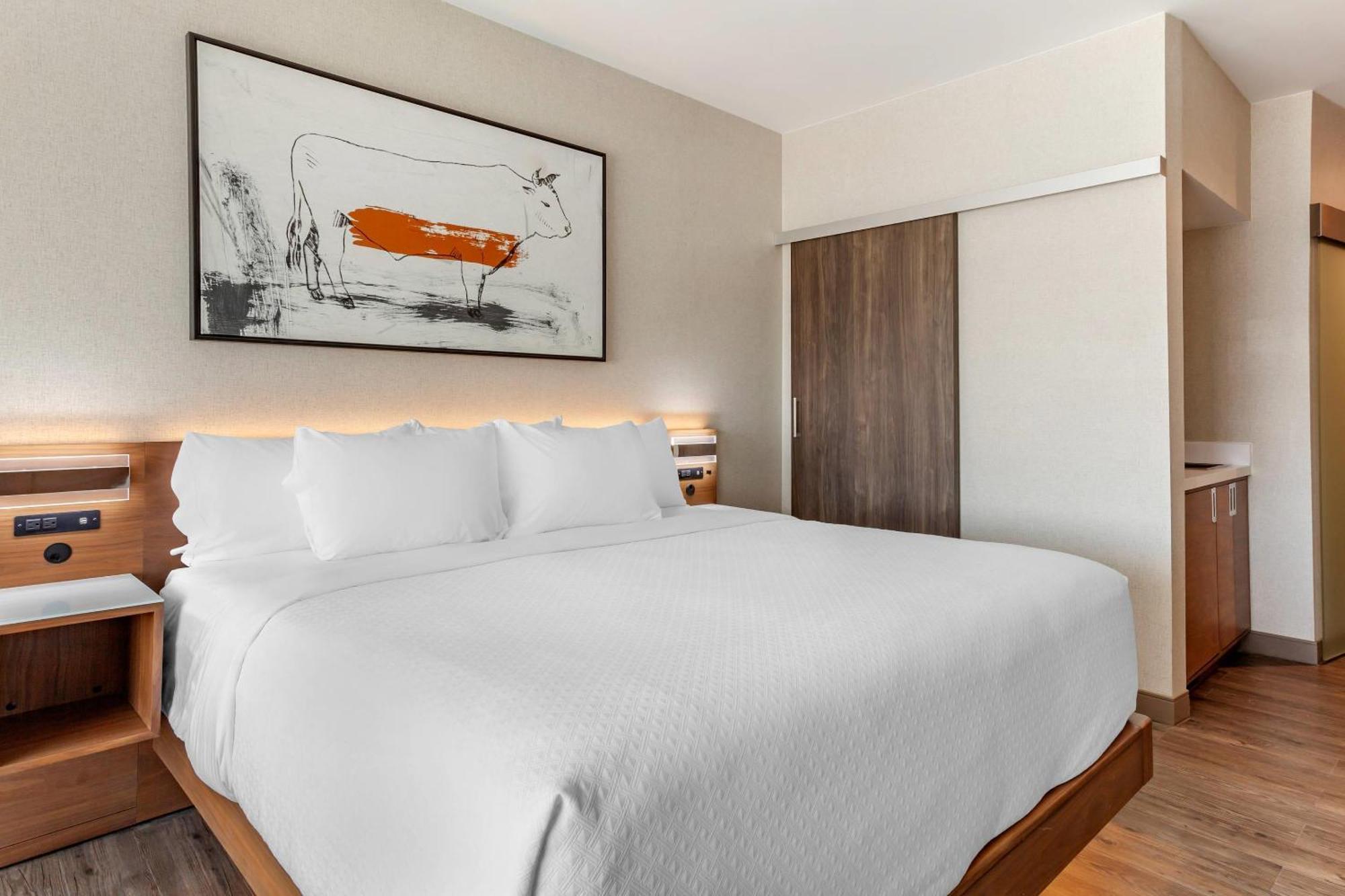 Cambria Hotel Richardson - Dallas מראה חיצוני תמונה