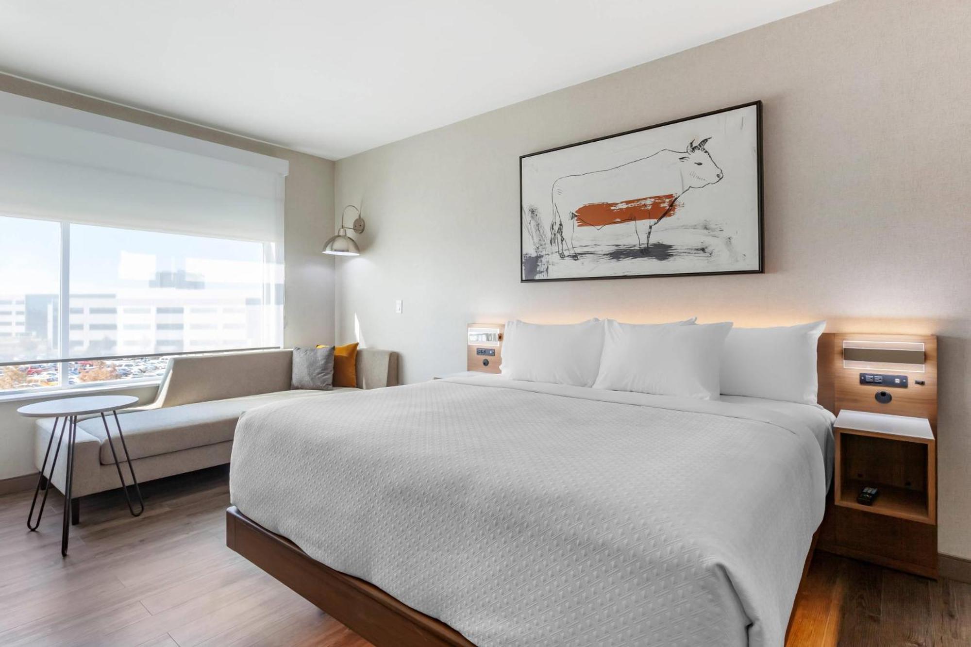 Cambria Hotel Richardson - Dallas מראה חיצוני תמונה