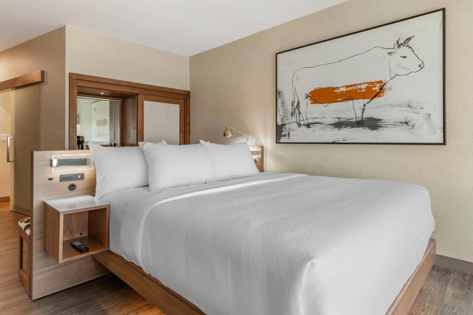Cambria Hotel Richardson - Dallas מראה חיצוני תמונה
